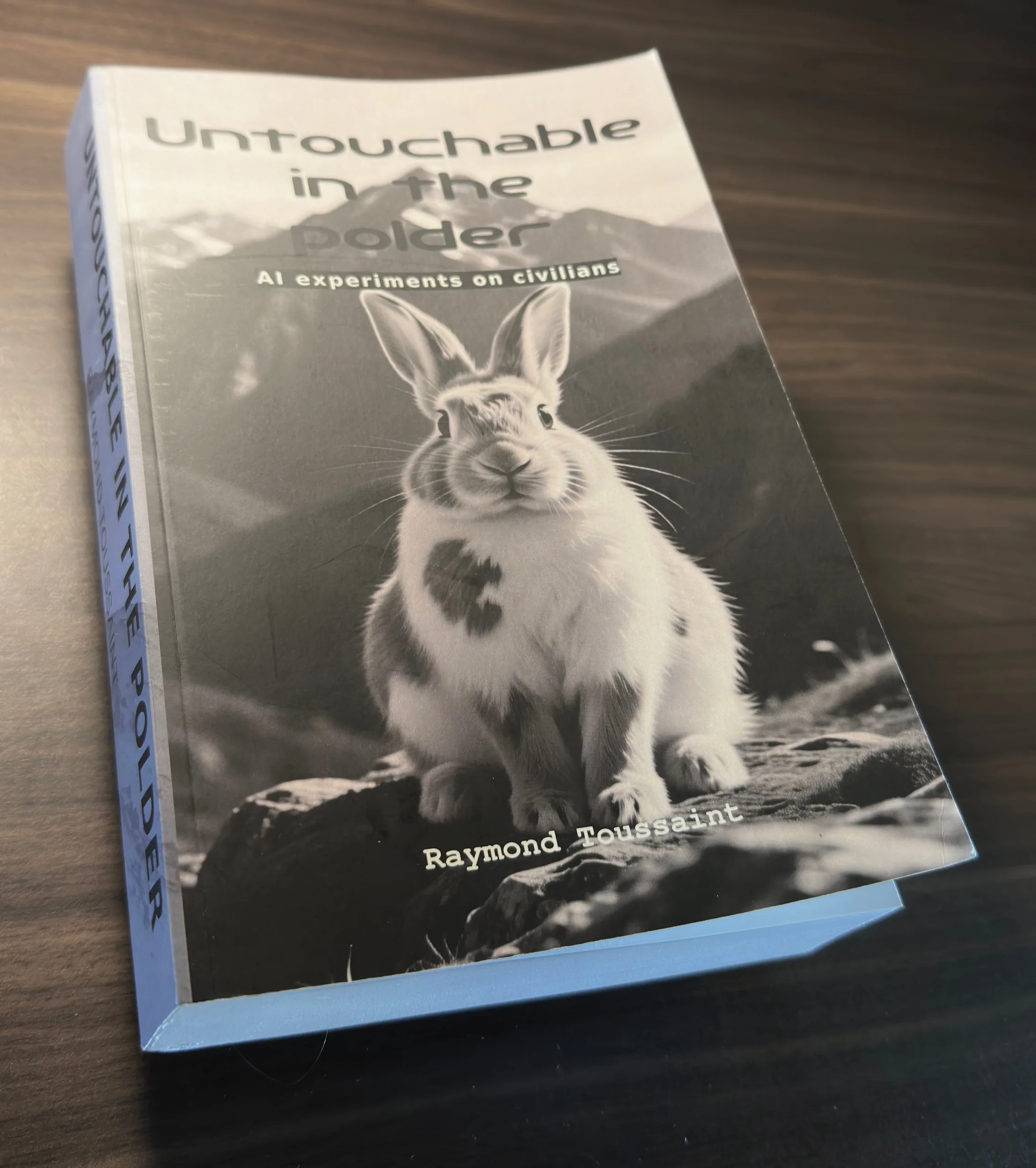 Untouchable in the polder Untouchable in the polder